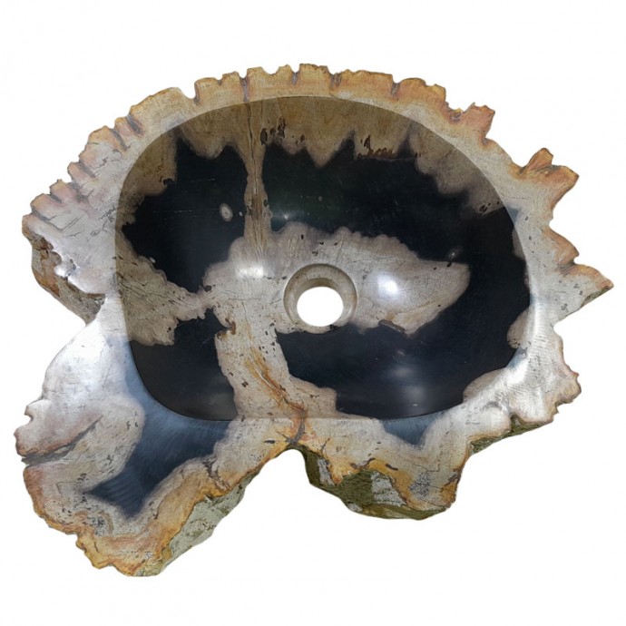 Vasque bois fossilisé n°55 - Taille M