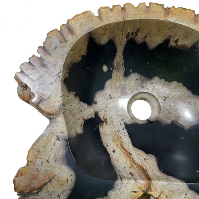 Vasque bois fossilisé n°55 - Taille M