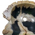 Vasque bois fossilisé n°55 - Taille M