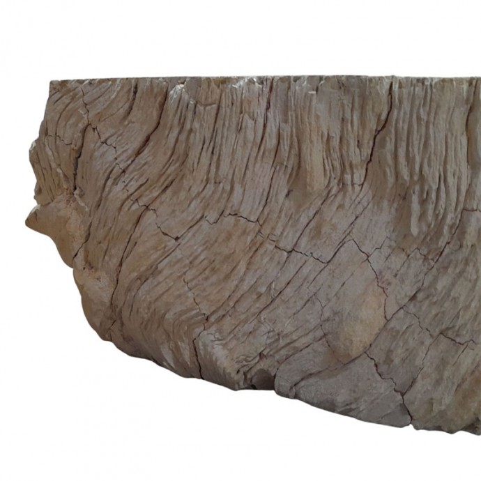 Lave-mains bois fossilisé n°06 - Taille S