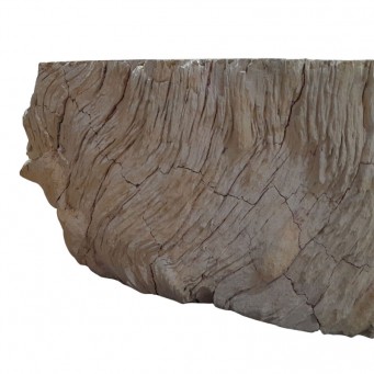 Lave-mains bois fossilisé n°06 - Taille S