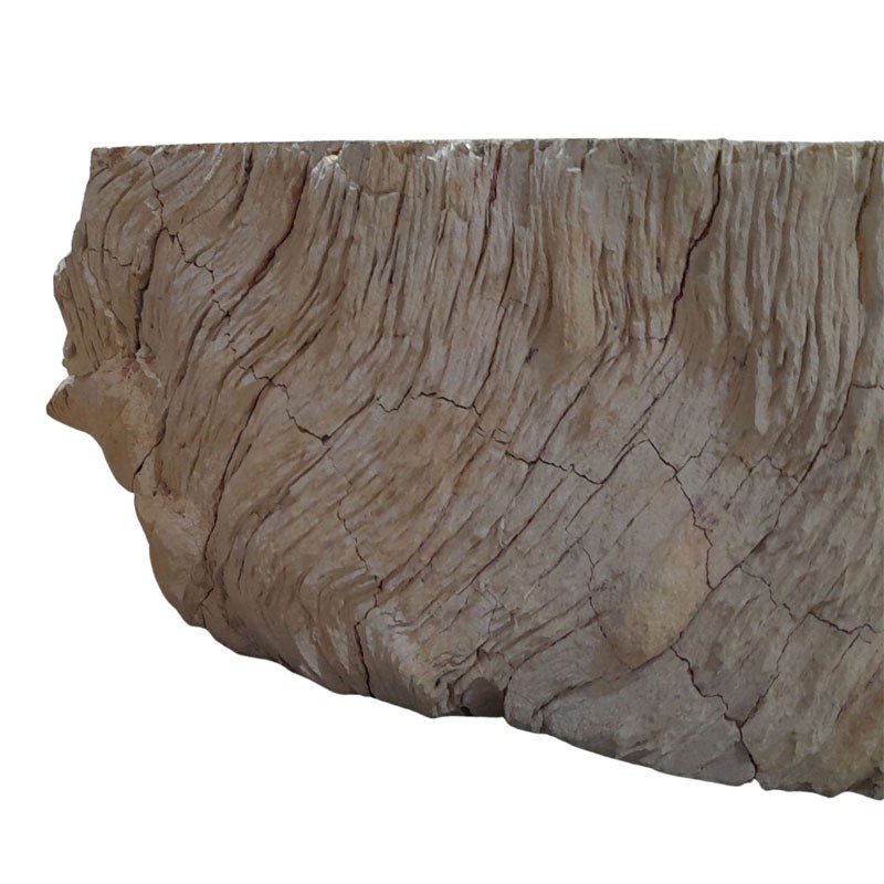 Lave-mains bois fossilisé n°06 - Taille S