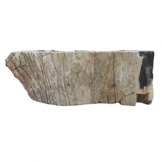 Lave-mains bois fossilisé n°07 - Taille S