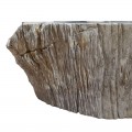 Lave-mains bois fossilisé n°07 - Taille S