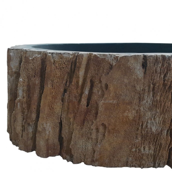 Vasque bois fossilisé n°01 - Taille M