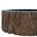 Vasque bois fossilisé n°01 - Taille M