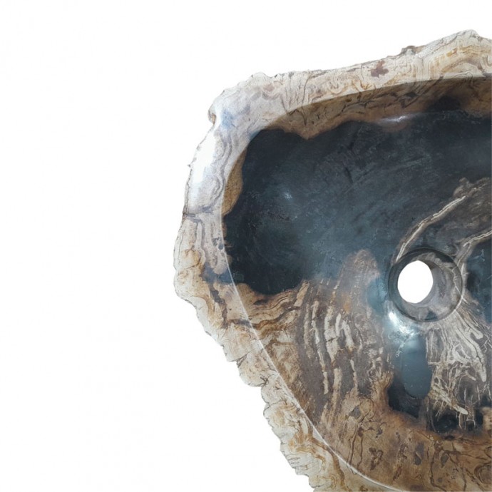 Vasque bois fossilisé n°02 - Taille M