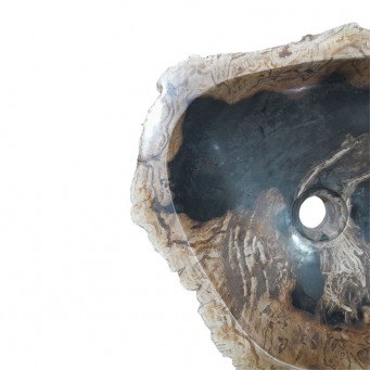 Vasque bois fossilisé n°02 - Taille M