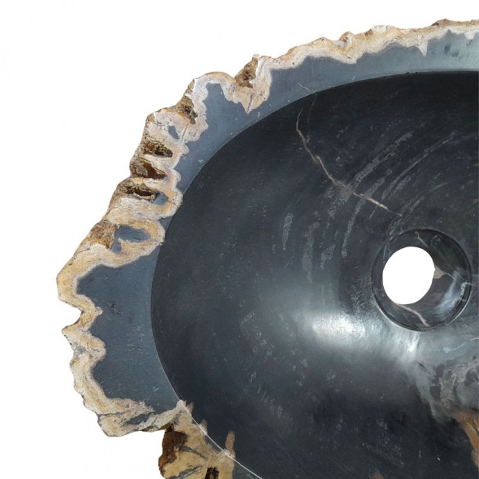 Vasque bois fossilisé n°03 - Taille M