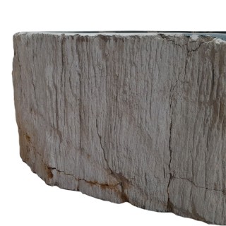 Vasque bois fossilisé n°05 - Taille M