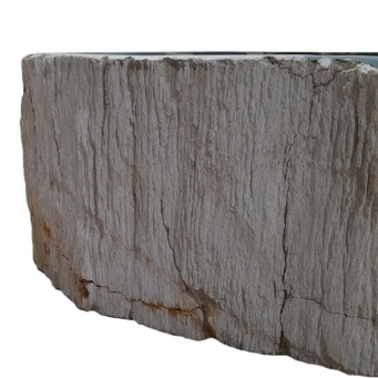 Vasque bois fossilisé n°05 - Taille M