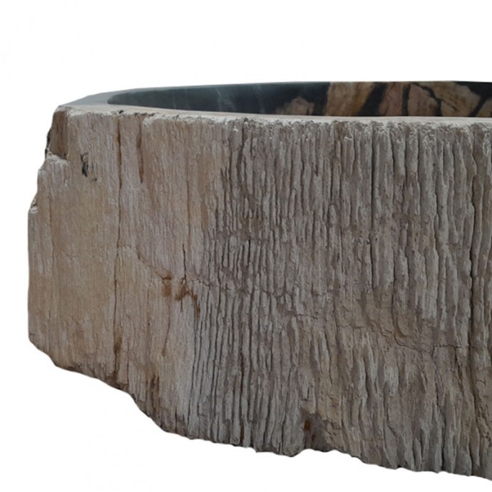 Vasque bois fossilisé n°06 - Taille M