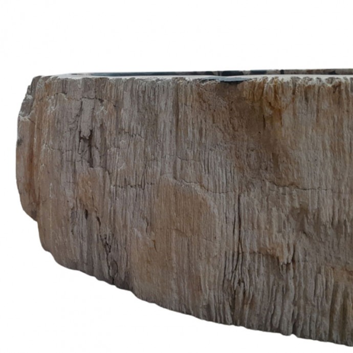 Vasque bois fossilisé n°07 - Taille M