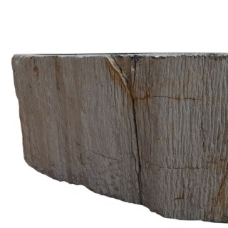 Vasque bois fossilisé n°08 - Taille M
