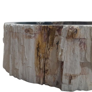 Vasque bois fossilisé n°09 - Taille M