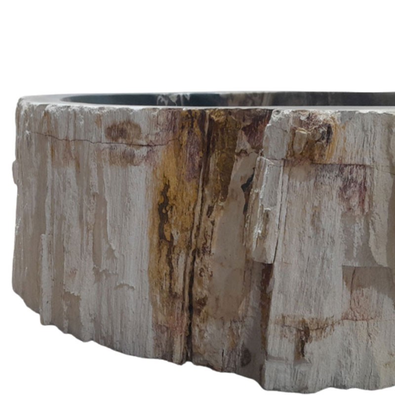 Vasque bois fossilisé n°09 - Taille M