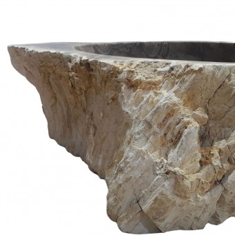 Vasque bois fossilisé n°10 - Taille M