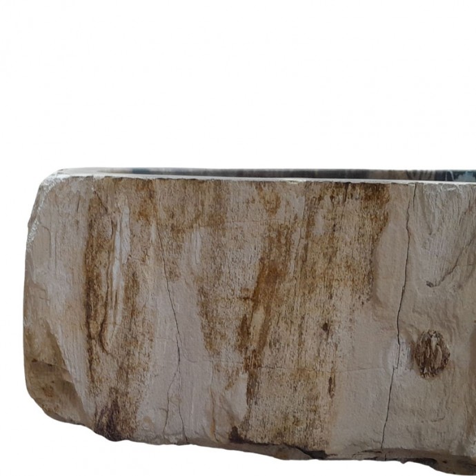 Vasque bois fossilisé n°11 - Taille M