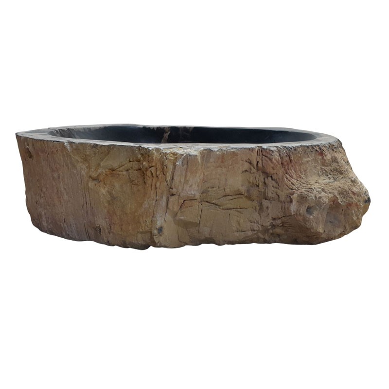 Vasque bois fossilisé n°12 - Taille M