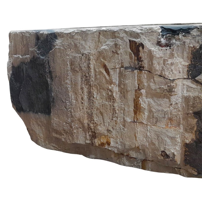 Vasque bois fossilisé n°14 - Taille M