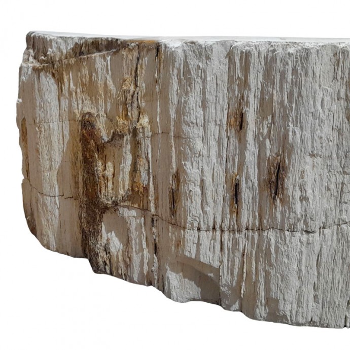 Vasque bois fossilisé n°15 - Taille M