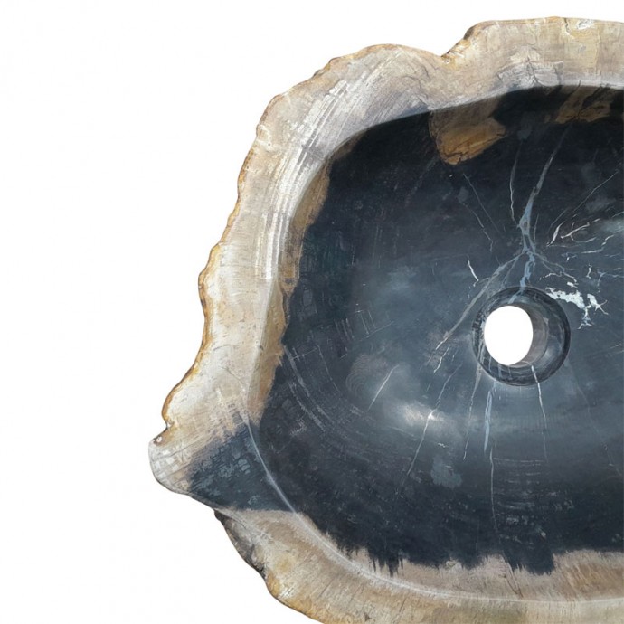 Vasque bois fossilisé n°16 - Taille M