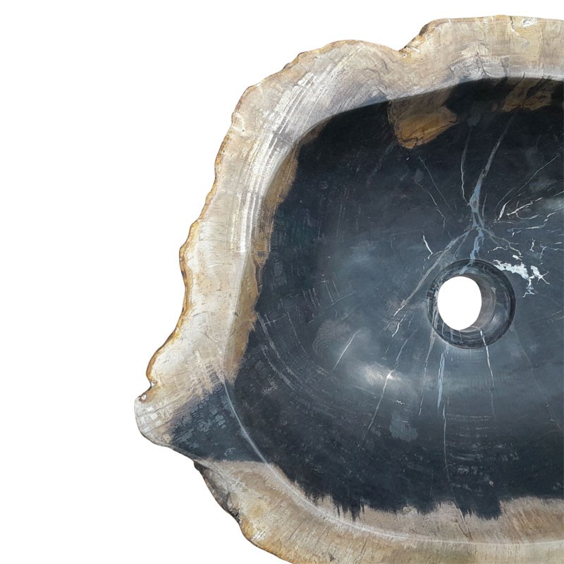 Vasque bois fossilisé n°16 - Taille M