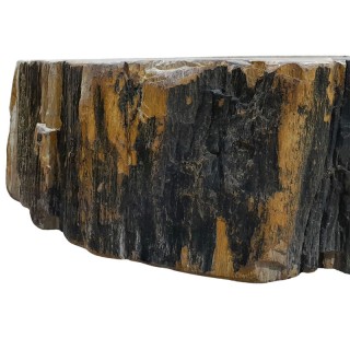 Vasque bois fossilisé n°17 - Taille M