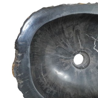 Vasque bois fossilisé n°19 - Taille M