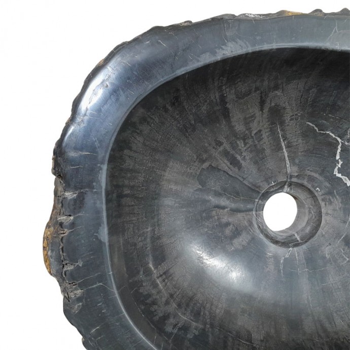 Vasque bois fossilisé n°19 - Taille M