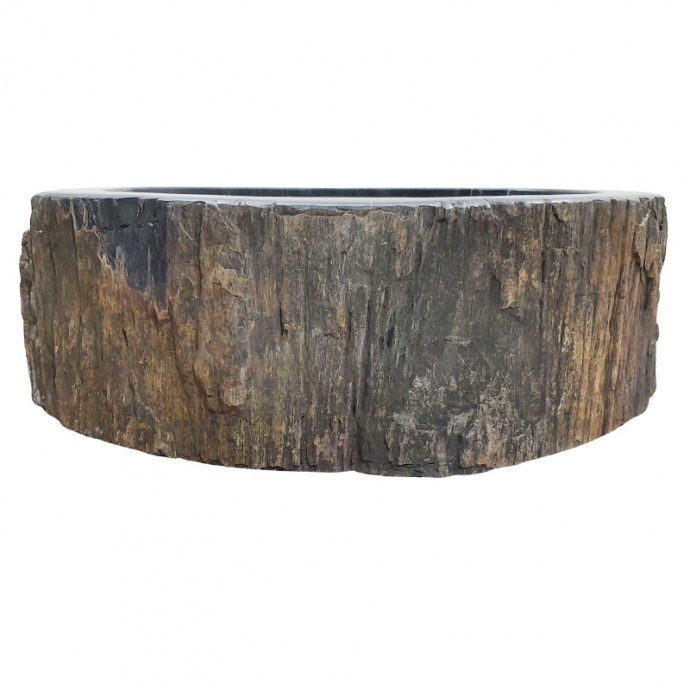 Vasque bois fossilisé n°19 - Taille M