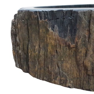 Vasque bois fossilisé n°19 - Taille M