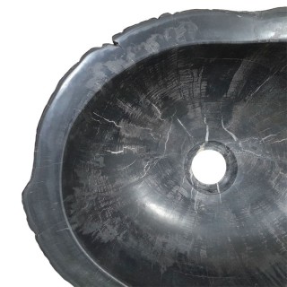 Vasque bois fossilisé n°20 - Taille M